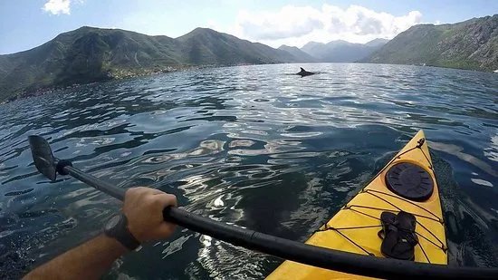 Kotor Bay Tours