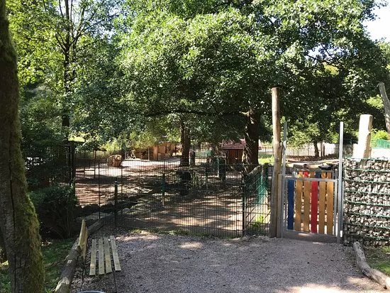 Suhler Tierpark