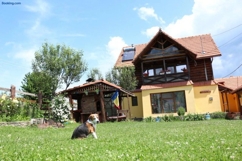 Casa Ollie Retezat