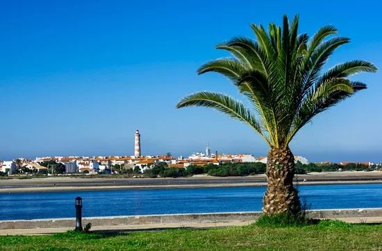 BICLARIA - Bike Rental & Tours