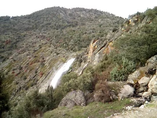 Fraga da Ola