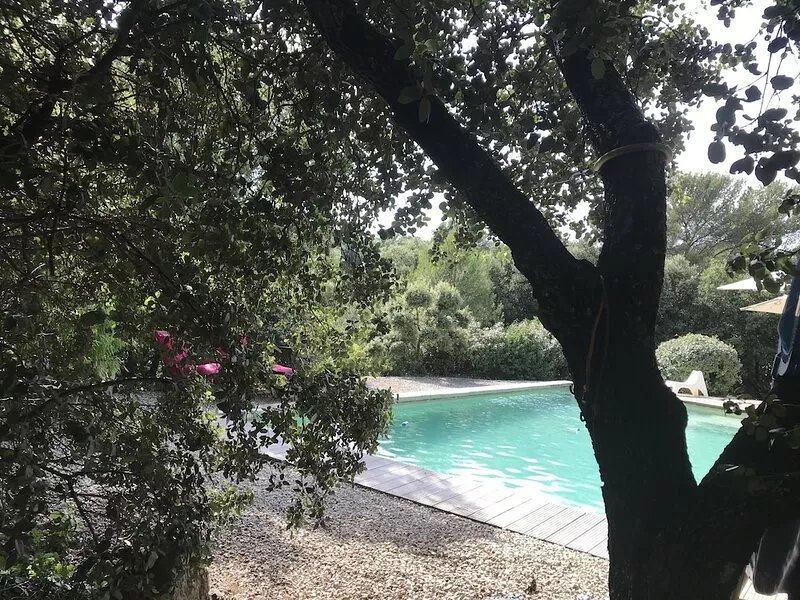 Beautiful house on wooded land of 3500 m2 close to Ventoux