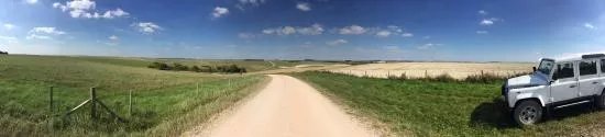 Salisbury Plain Safaris