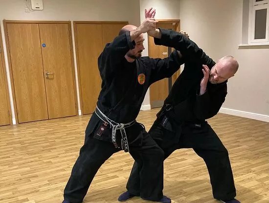 Bujinkan Shizen Dojo