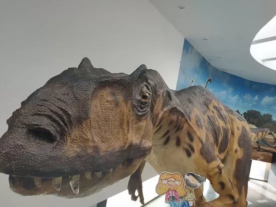 Museo de los Dinosaurios
