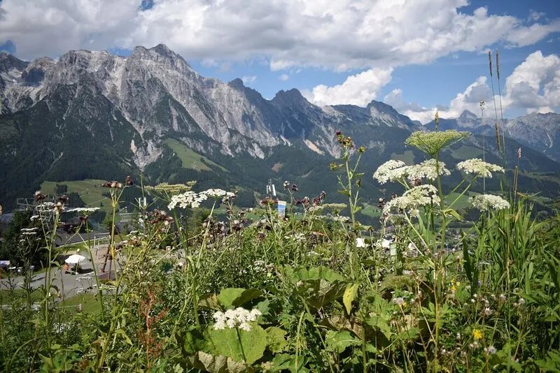 Chalet in Leogang , Apartment Asitz (A) 3 x Bedrooms first floor