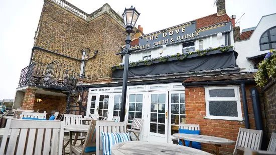 The Dove at Hammersmith