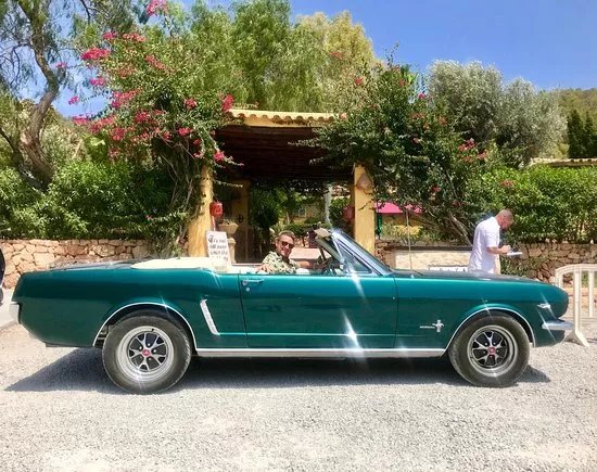 Mustang Adventures
