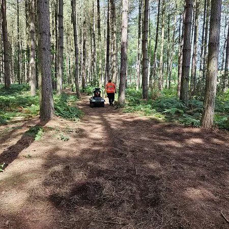 Sherwood Forest Activity Centre
