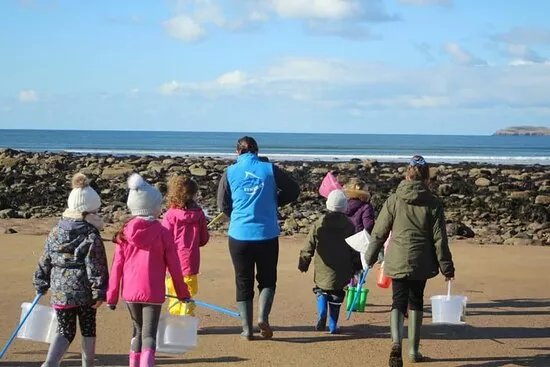 Sea Synergy Marine Awareness and Activity Centre
