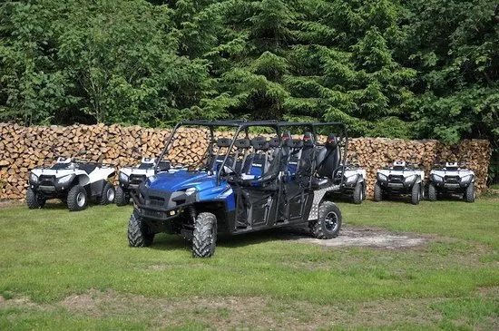 Forestquad