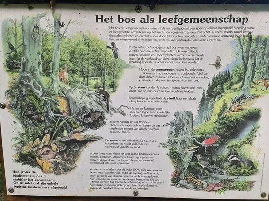 Dwergte Waldlehr- und Erlebnispfad