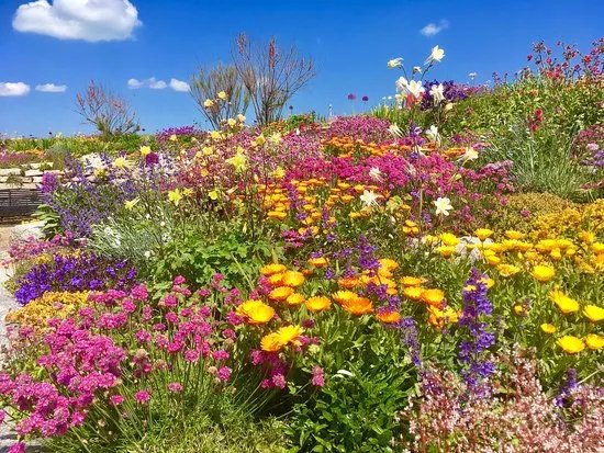 Sandown Castle Community Garden