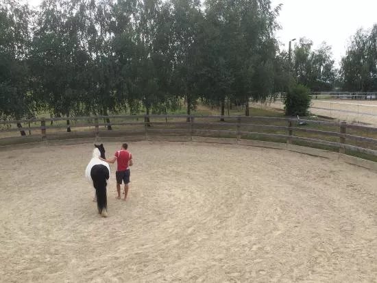 Greenranch