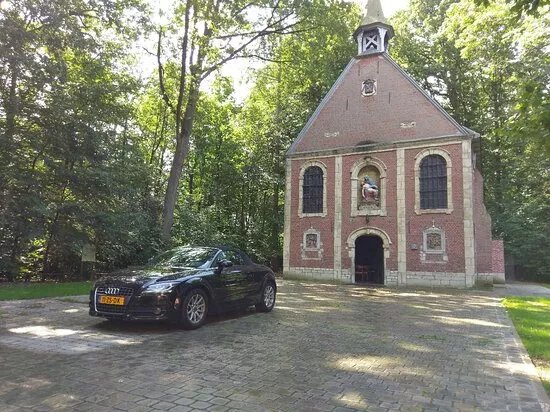 Buggenhout Bos