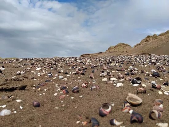 Culleenamore Middens