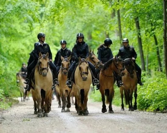 Espace Equestre Henson Chantilly