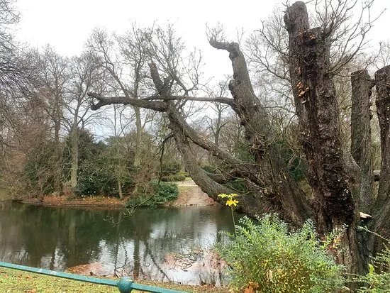 Park an der Nordlichen Dussel