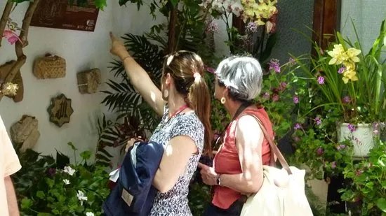 Tours By Locals