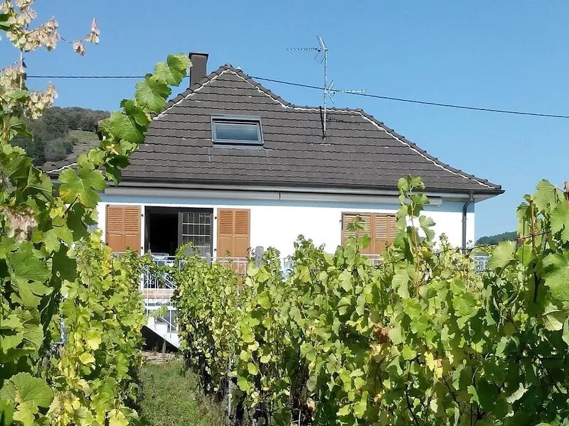 12 Person House -  Gite du WEINBAECHLE