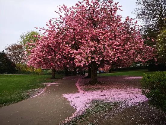 Friarwood Valley Gardens