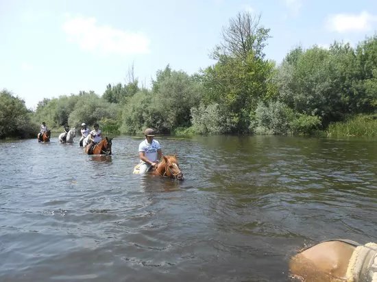 Caballos de la Ribera