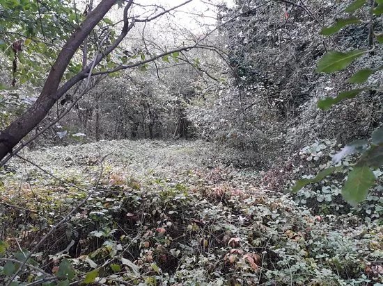 Oasi WWF San Giuliano Milanese