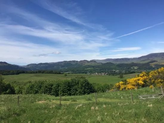 Auchingarrich Wildlife And Adventure Park