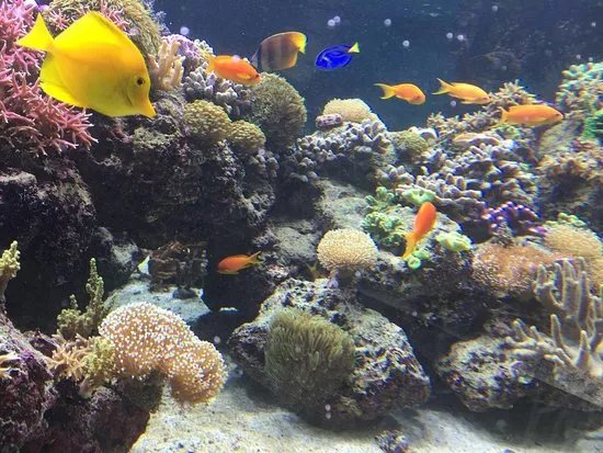SEA LIFE Speyer
