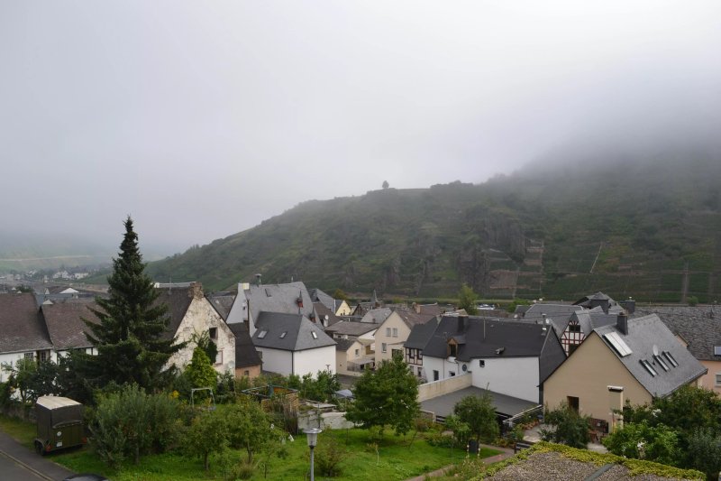 Ferienweingut Arnold Fuhrmann & Sohn