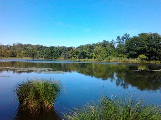 Il Parco dei Lagoni di Mercurago