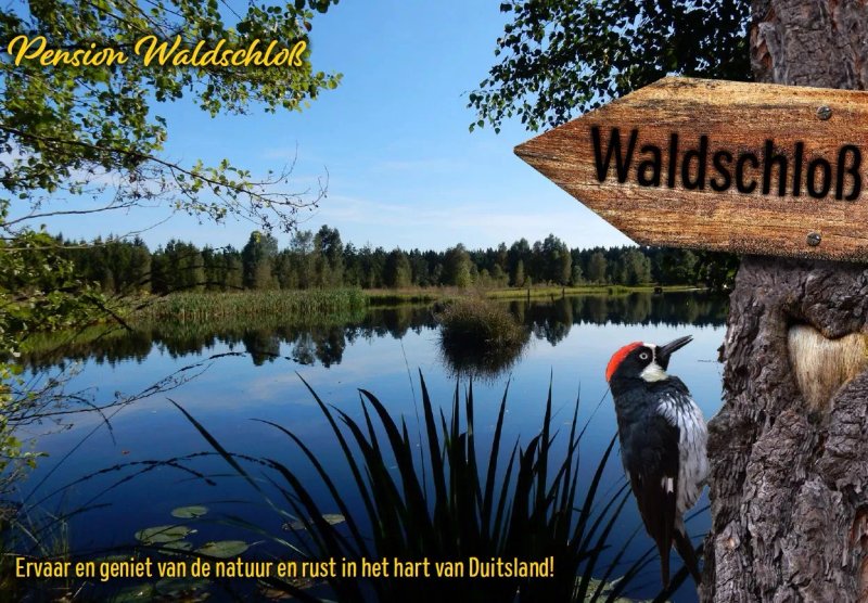 Hotel Waldschloss