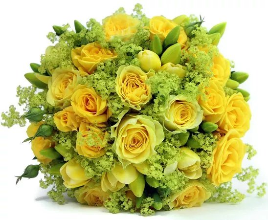Flowers 24 Hours