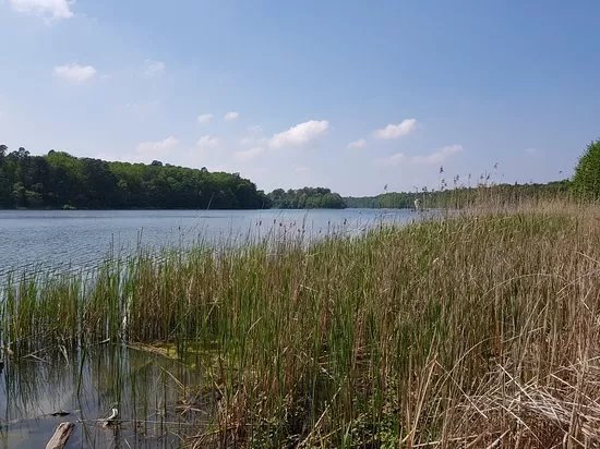 Wielkopolski National Park