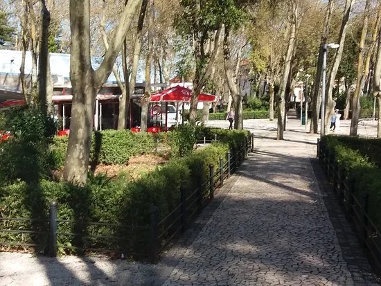 Mata Municipal de Vila Vicosa