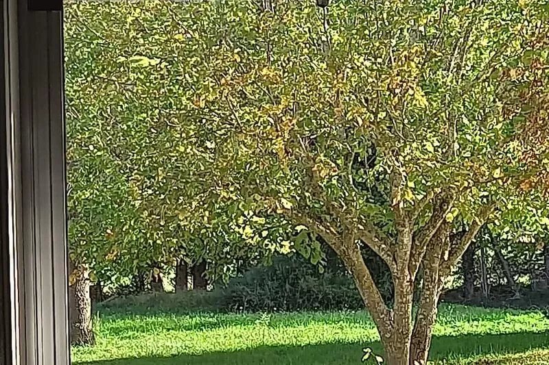 Luxury Provencale Farmhouse with airconditioning , Pool, Vaison/Malaucene.