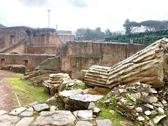 Colosseum Tours in Rome