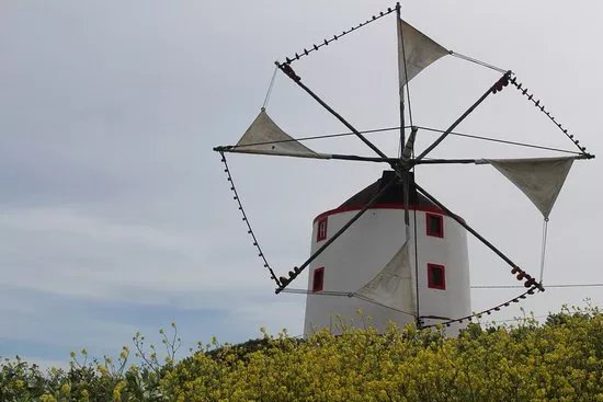 Boneco Windmill