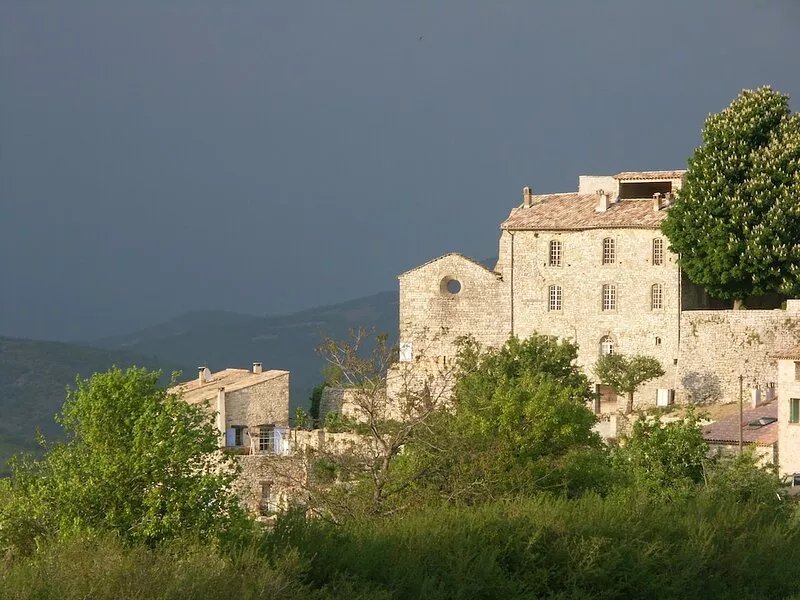 holiday home in the Alpes de Haute Provence in a village character