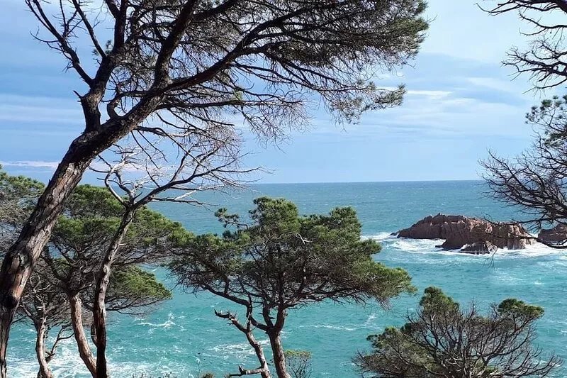 180° Sea view, 1 km beach,  Quiet, Pool, Parking (Box), Air-conditioned, Wifi