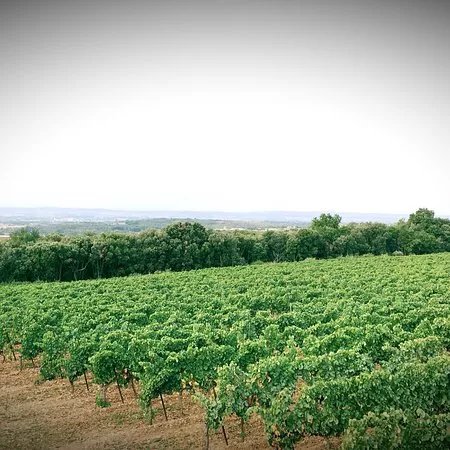 Chateau Sesquieres