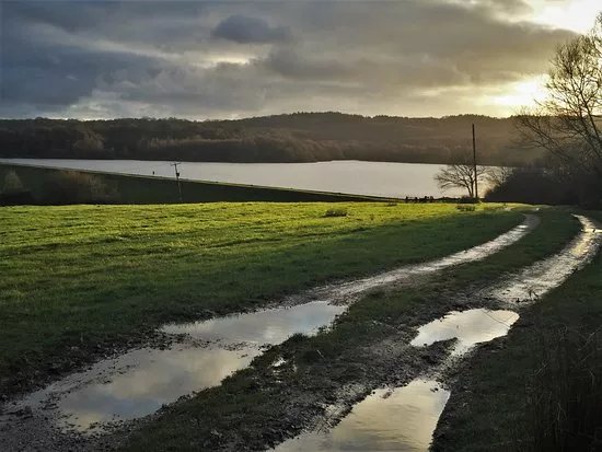Darwell Reservoir