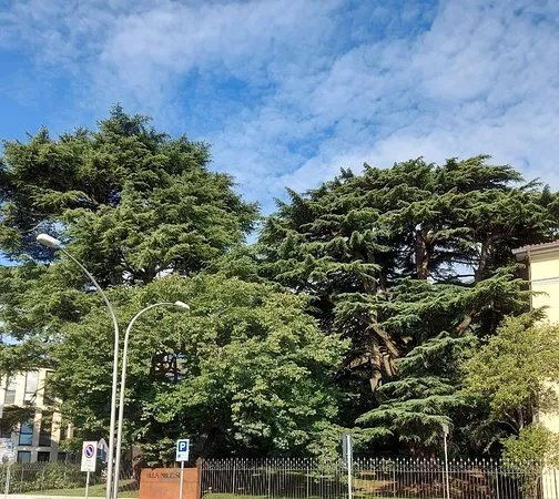 Parco di Villa Milesi