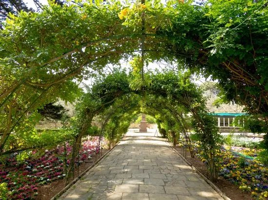 San Anton Gardens