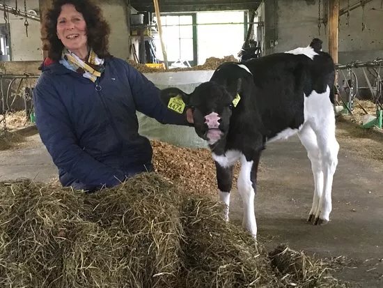De Knuffelboerderij