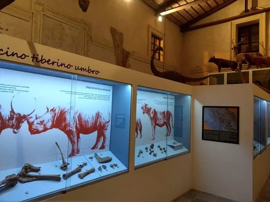 Paleolab - Museo delle Raccolte Paleontologiche dell’Umbria Meridionale