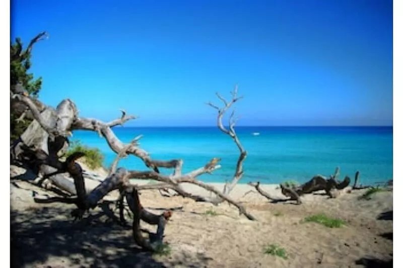 AUGUST PROMOTION: beautiful villa with swimming pool, 400m from the beach and