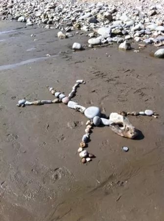 Lyme Regis fossil walks
