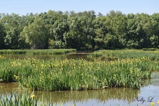 Reserve Naturelle Marais De Bruges