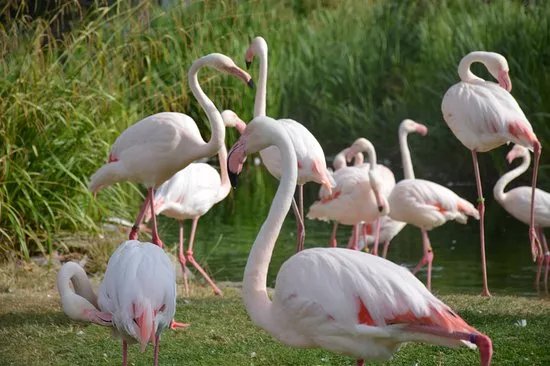 Tierpark und Fossilium Bochum